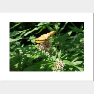 Butterfly On Water Hemp Posters and Art